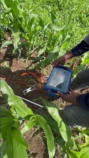 Exploring Groundwater: 5 Essential Steps and The Importance of Hydrological Survey