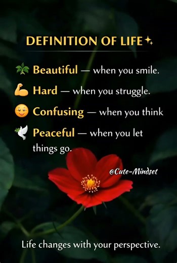 Definition of Life 🌿 | A Simple Truth About Life #cutemindset #motivation #quotes #ytshorts #viral