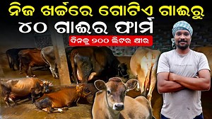 From 1 Cow to 40 Cows | 200 Litres Milk Daily | 20 Years Dairy Farm Success Story Odisha. A farmer from Praharajpur, Cuttack, Odisha started his dairy farming journey in 2006 with just 1 cow. Today, after 20 years of hard work, his farm has 40 cows and produces around 200 litres of milk per day. In this video, we discuss his complete dairy farm success story, including: Dairy farm journey from 1 cow to 40 cows Daily feed management and feeding cost Common diseases that can destroy a dairy farm P
