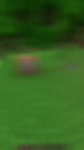 5 Minecraft Commands You Didn't Know Existed