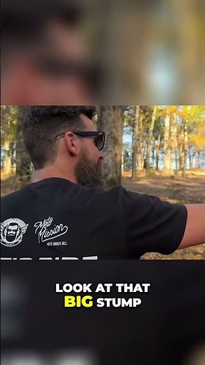 Giant Stump Discovery: What Was This Massive Tree? #shorts