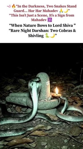 “Two Cobras Guarding the Shivling… Not a Coincidence 🐍🕉️”“When Two Serpents Protect Mahadev 🔱🔥…