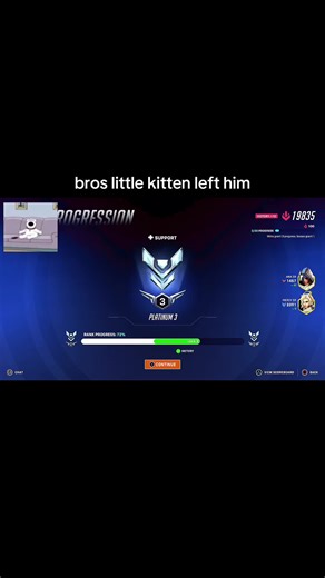 Understanding Overwatch Community Reactions