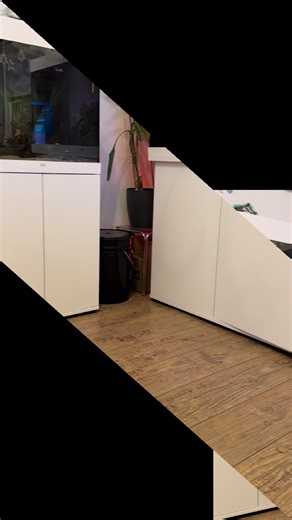 Aquascaping Tips and Ideas for Your Home