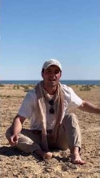 #rek ​​​​📹 "Cho'pon va shaharlik qiz: 2 QISM (o'zbek kino) I Чўпон ва шахарлик қиз 2 (узбек кино)