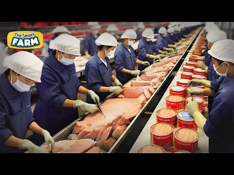 MASSIVE Canned Tuna Production in Factories That You Have Not Seen Before! This is How It's Made