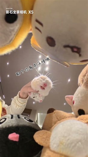 Revolutionizing Film Making: The Golden Thread Bear Phenomenon