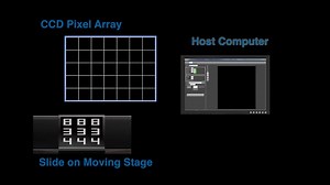 Thorlabs' TIDE® System for Whole Slide Scanning