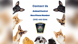 Syracuse Police introduce new animal control phone number