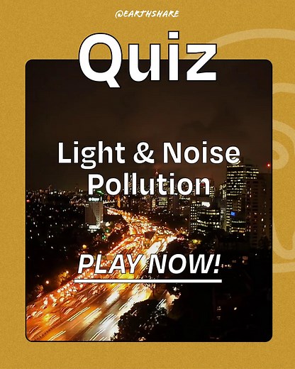 QUIZ TIME! Human health, wildlife, ecosystem processes—what do these all have in common? They’re directly affected by the light and noise pollution all around us. Take the full quiz: earthshare.org/quiz-november-2025-light-noise-pollution/ | EarthShare | Facebook