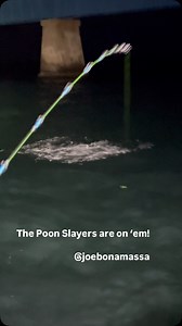 The Les Paul Forum on Reels