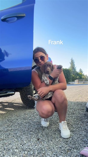 Welcoming Our New German Shorthaired Pointer Puppy