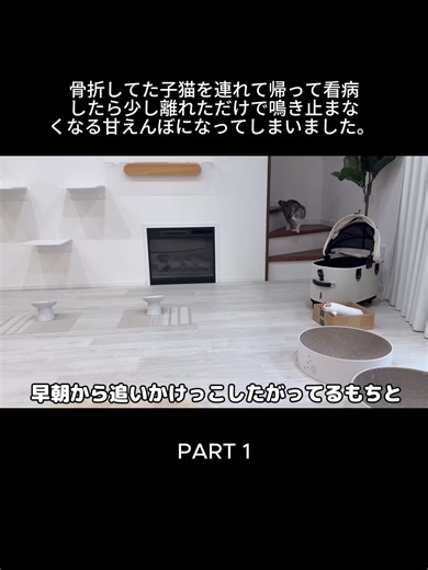 骨折してた子猫を連れて帰って看病したら少し離れただけで鳴き止まなくなる甘えんぼになってしまいました。 P1 #mochimaruu #trend #pet #fyp #viral #cat #japan #mochimaru #fypdongggggggg