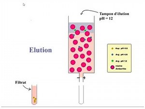Ion-exchange chromatography – principle & mechanism explained