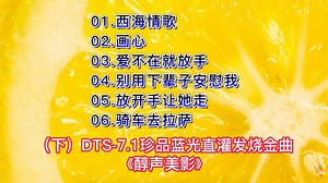 DTS-7.1珍品蓝光直灌发烧金曲《醇声美影》,极品发烧 试音典范