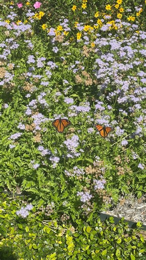 76 reactions · 4 comments | As a new cohort of students begins the Spring 2026 semester, remember you’re not on this journey alone. And you are what makes Brite bright.✨#shineBrite | Brite Divinity School | Facebook