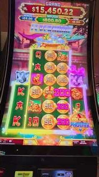 Fever Mode on 🔥Golden Phoenix #slots #casino #gambling #nicewin #bonus