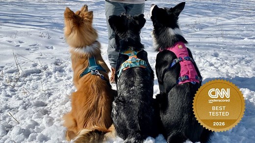 The best dog harnesses in 2026, tried and tested | CNN Underscored
