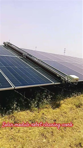 Solar module cleaning work