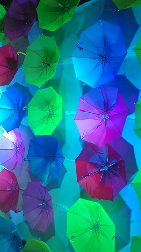 #umbrella#colors#lighting#കുടകീഴിൽ.. 🩵🤍❤️💙🧡💛🤎💜