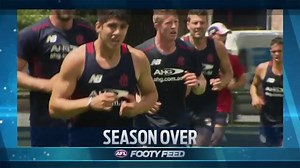 41K views · 182 reactions | Footy Feed is back! We have the latest on Petracca's injury, Essendon's search for top-up players and more below. A number of Roos are racing the clock to be fit and firing ahead of the new season: www.afl.to/1Jkpy41 | AFL | Facebook