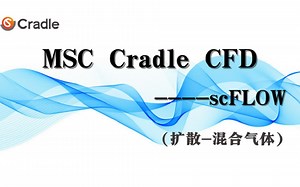 MSC Cradle CFD 2021从入门到精通教程_第十三讲_扩散--混合气体