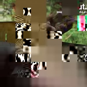 320K views · 1.1K reactions | Les mouches ne sont pas qu'une nuisance. Elles sont aussi une ressource inestimable, et pourraient nous être utiles à tous… Avec Low-tech Lab - Nomade des Mers | Brut nature FR | Facebook