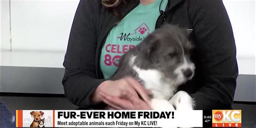 Furever Home Friday: Moose and Mary