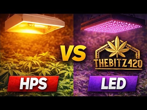 HPS vs LED: Which Grow Light Actually Wins in 2026?