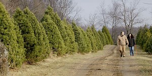December outlook: Forget about a winter wonderland, El Nino pattern to lead to widespread warmth