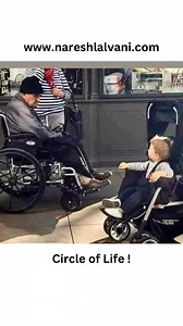 Circle of life | Naresh Lalvani