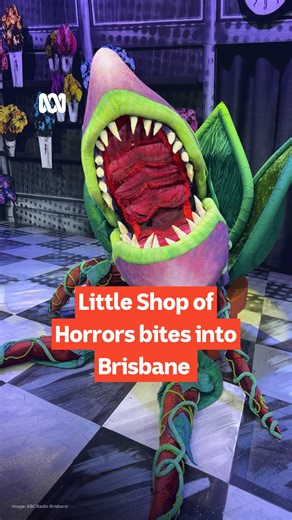 The cult classic musical 'Little Shop of Horrors' has taken root at QPAC's Cremorne Theatre. Audiences are devouring the dark comedy featuring a man-eating plant and a co-worker crush set on the dreary Skid Road. Dom Fay headed backstage for 612 ABC Radio Brisbane Saturday Mornings, and narrowly avoided the jaws of Audrey II. Little Shop of Horrors is playing at QPAC's Cremorne Theatre until February 15. #ABCRadioBrisbane #LittleShopofHorrors | ABC Brisbane