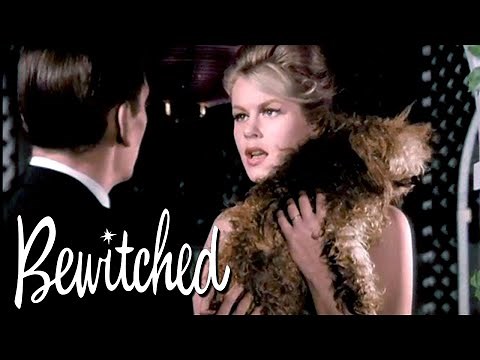 Samantha Turns A Man Into A Dog | Bewitched