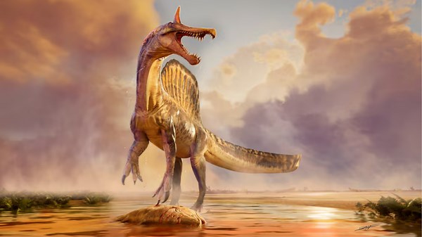 Scientists discover new dinosaur species deep in the Sahara Desert
