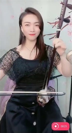 《四季歌》 — 皮皮二胡