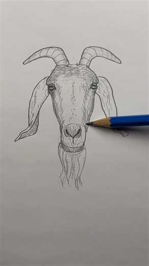 Draw a goat 🐐 Easy drawing lesson for beginners on how to draw a goat... | Mark Liam Smith