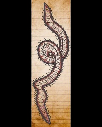 Lake Pedder Earthworm 2 #extinction #extinctanimals #worm #australia #animals #nature #song