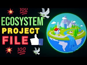 Project File on Ecosystem//How to make project file on Ecosystem #handmade #projectfile #youtube