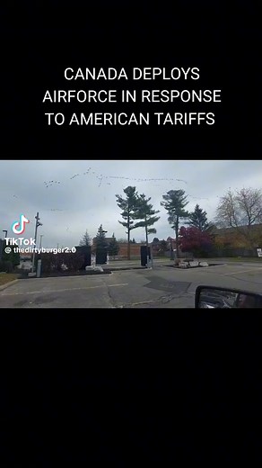 Beware of Goose poop!#canada #usa #tradewar #tarrifs #duty #freetrade #trump #trudeau | Olde Carr Guy