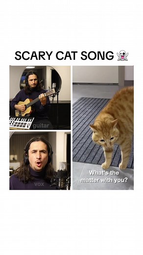 Scary Cat Collab on YouTube