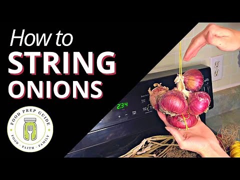How to STRING Onions for Storage