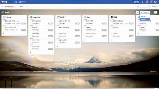TAPD看板指引视频