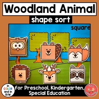 2D Shape Sort - Woodland Animals- Preschool, Kindergarten, Special Education