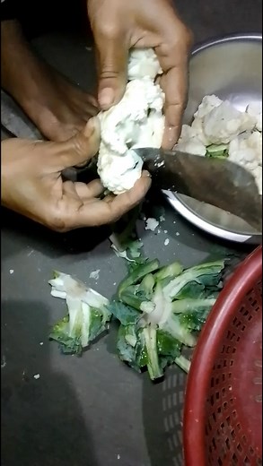 Gobi Opening Satisfied Sound / No Talking / ASMR #reelsvideoシ 🥀🌹❣️ | Satisfyingfood