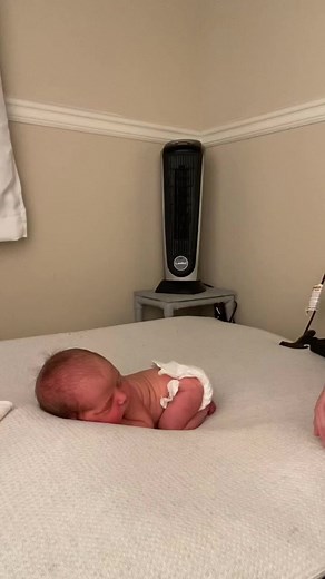 3.3M views · 10K reactions | #newbornphotography #newbornphotographer #newbornbaby #babyboy #missississippi #hattiesburg | Emily Moncus Photography- Savannah, GA Newborn and Maternity Photography | Facebook