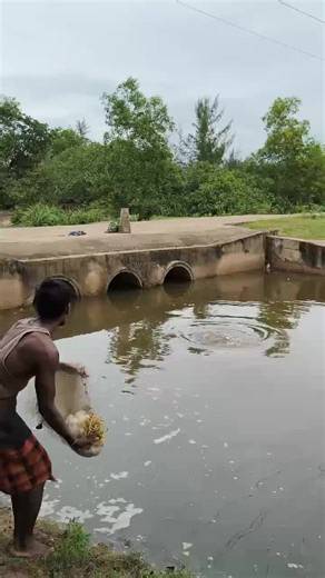 Subash Catches Fish in the River