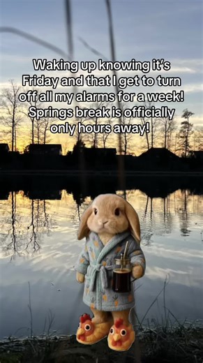 This feels like the LONGEST countdown to any break. It’s been a long few weeks, everyone needs this break. Now the countdown till summer 😈 #foryoupage #springbreak #momlife #momtok #work