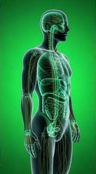 The Future of AI and AR