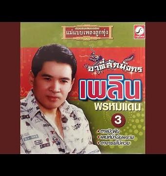 รักไม่เอาเมาดีกว่า