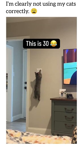 Laser Pointer Syndrome is a real thing